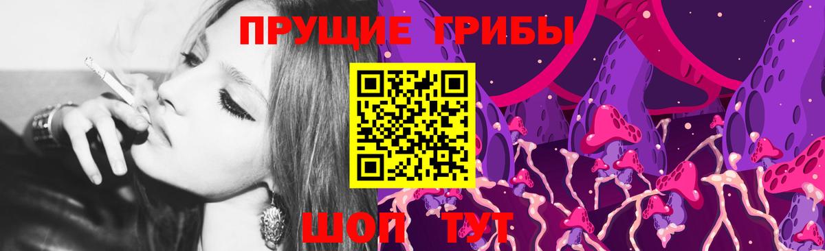 Галлюциногенные грибы Psilocybine cubensis Жуковский