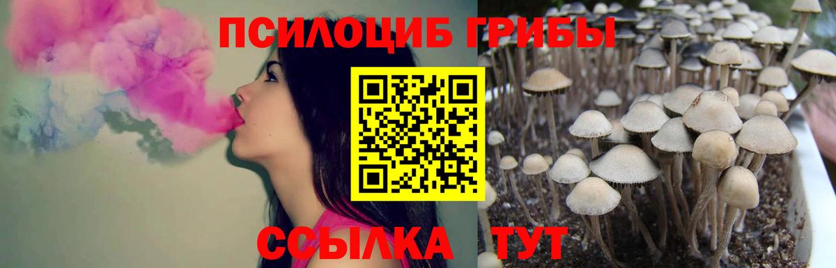 Жуковский  Псилоцибиновые грибы MAGIC MUSHROOMS  Вход с VPN 